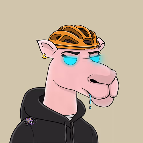 Camelsnftio