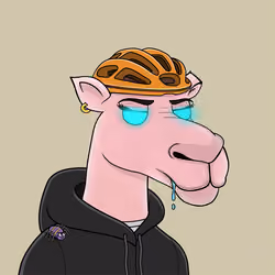 Camel #6762
