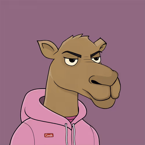 Camelsnftio