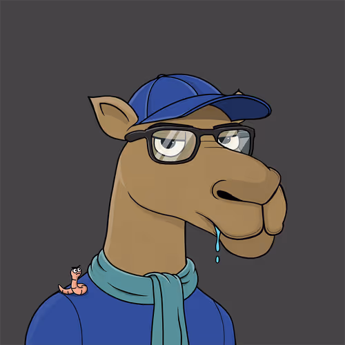 Camelsnftio