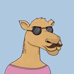 Camel #4684