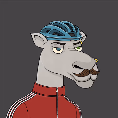 Camelsnftio