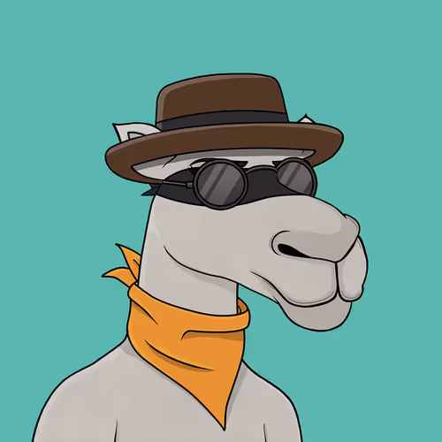 Camelsnftio