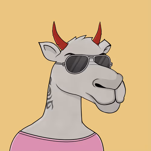 Camelsnftio