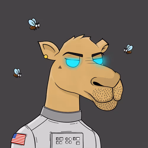 Camelsnftio