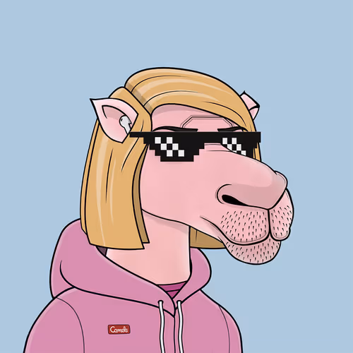 Camelsnftio