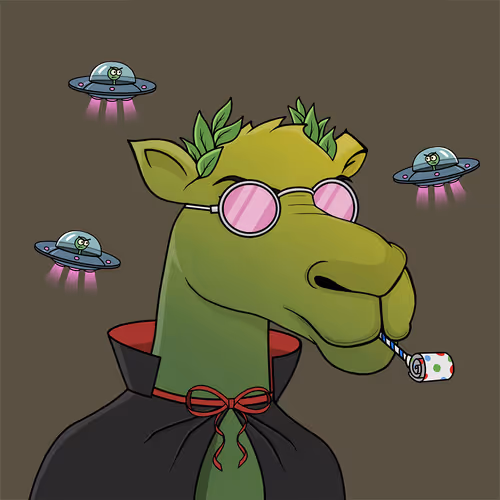 Camelsnftio
