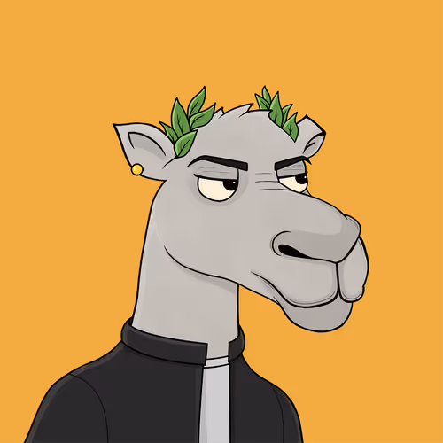 Camelsnftio