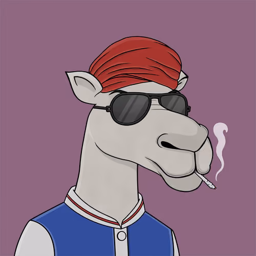 Camel #6458