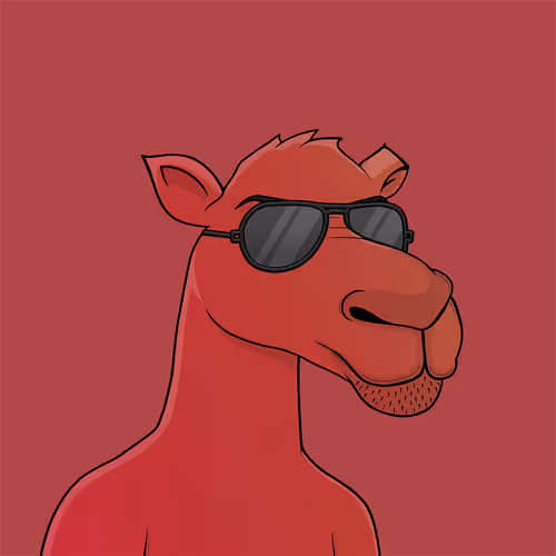 Camelsnftio