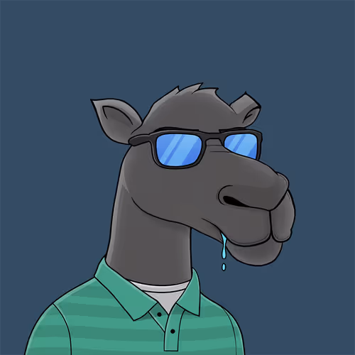 Camelsnftio