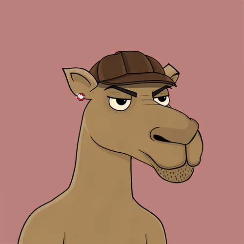 Camelsnftio