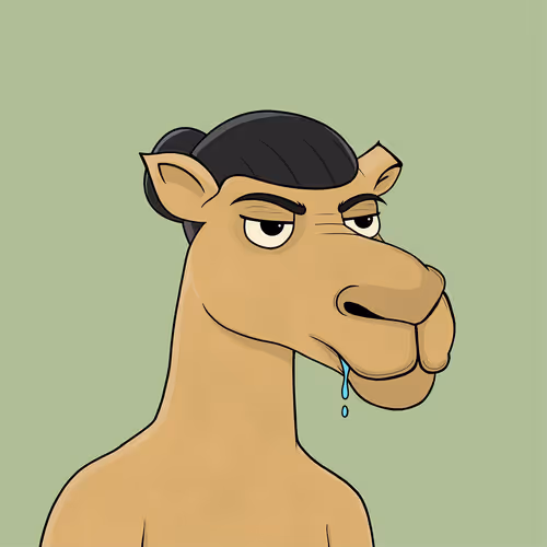 Camelsnftio