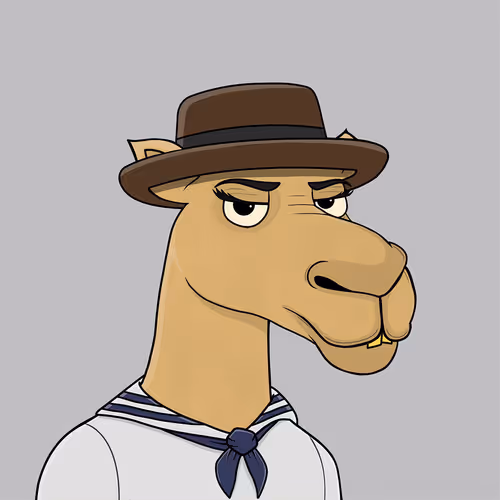 Camelsnftio