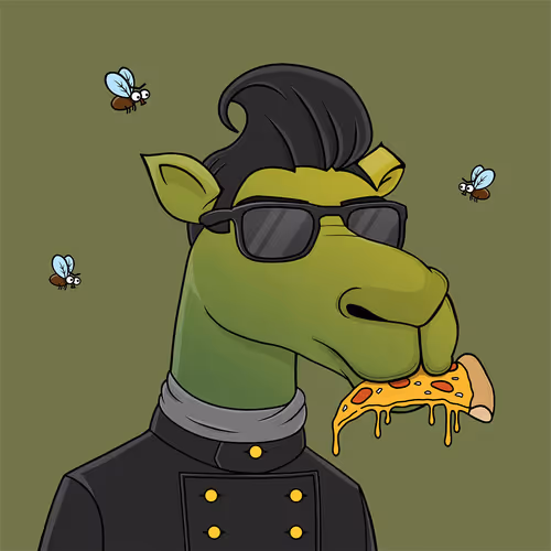 Camelsnftio