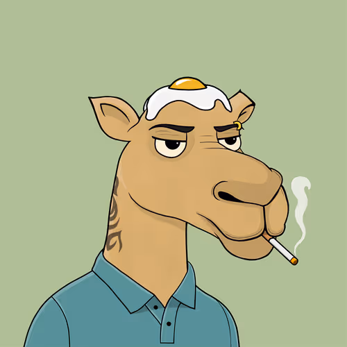 Camelsnftio