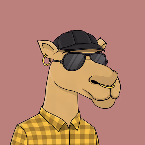 Camelsnftio