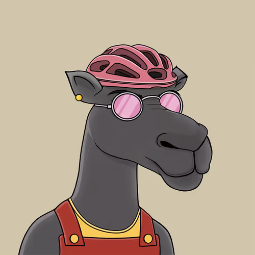 Camelsnftio