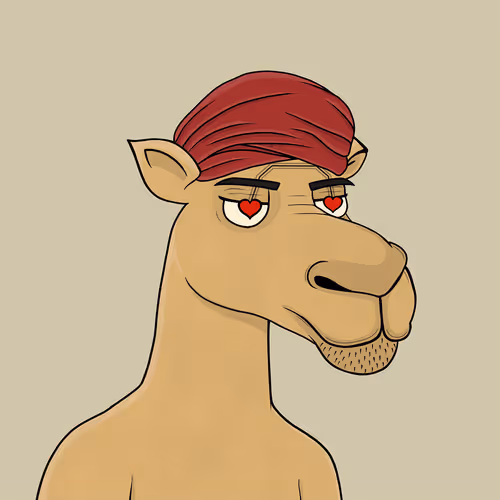 Camelsnftio