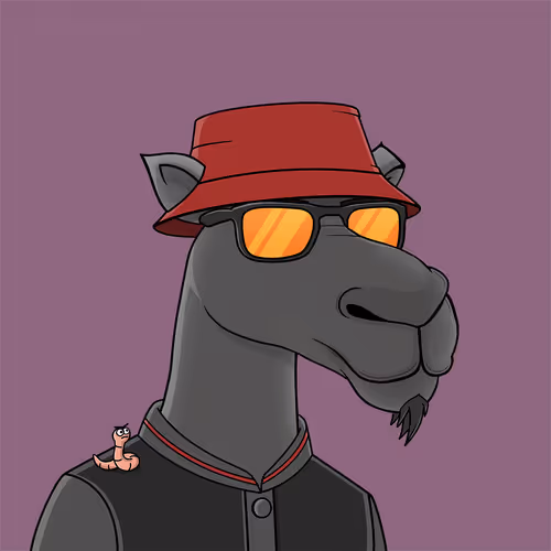 Camelsnftio