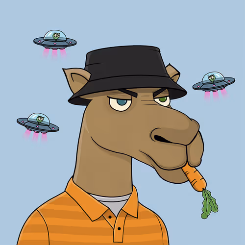 Camelsnftio