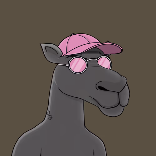 Camelsnftio