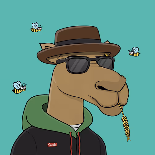 Camelsnftio