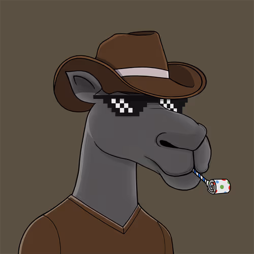 Camelsnftio