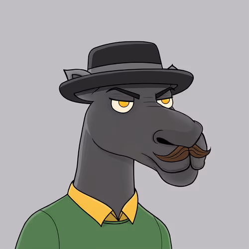 Camelsnftio