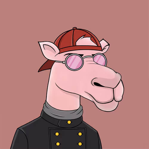 Camelsnftio