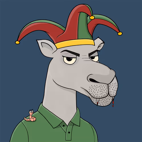 Camelsnftio