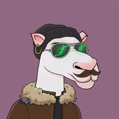 Camelsnftio