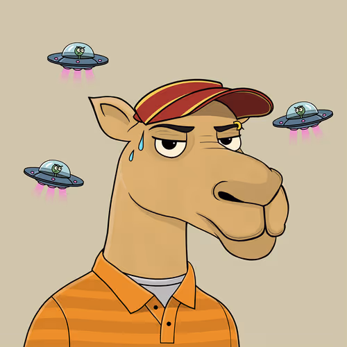 Camelsnftio