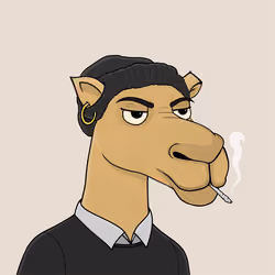 Camel #1772