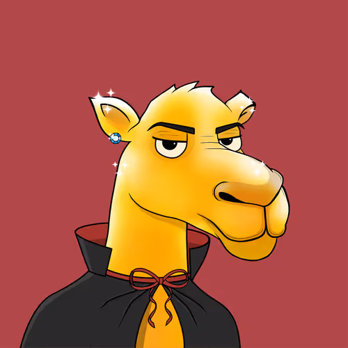 Camelsnftio