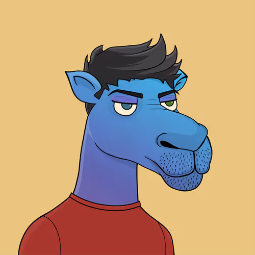 Camelsnftio