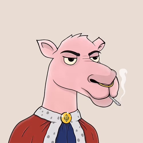 Camelsnftio