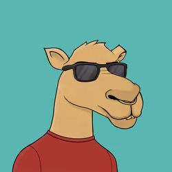Camel #1576