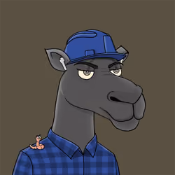 Camel #1179