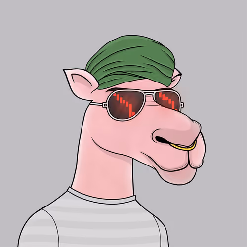 Camel #6185