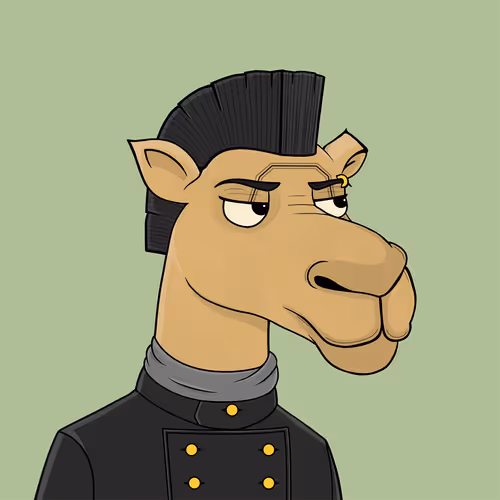 Camelsnftio