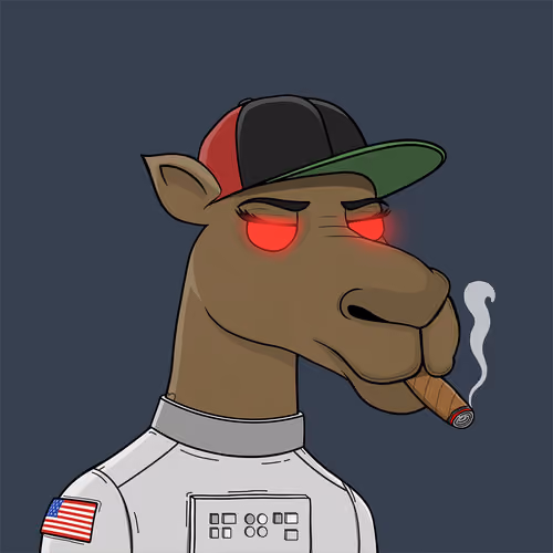 Camel #7999