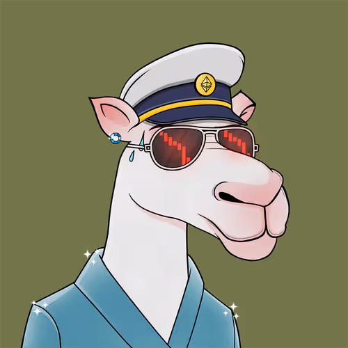 Camelsnftio