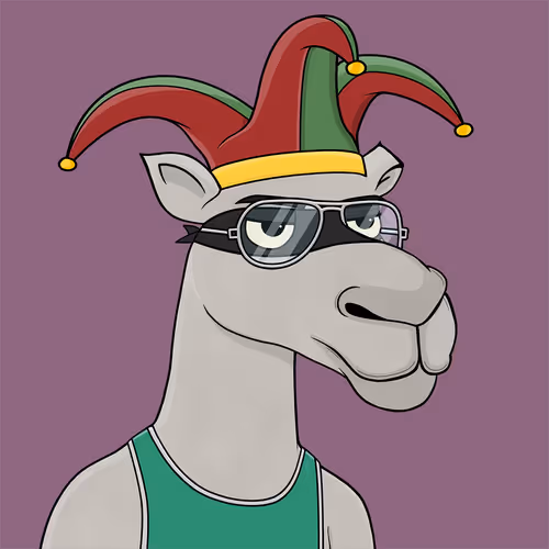 Camelsnftio