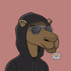 Camel #1254