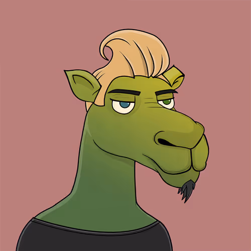 Camelsnftio