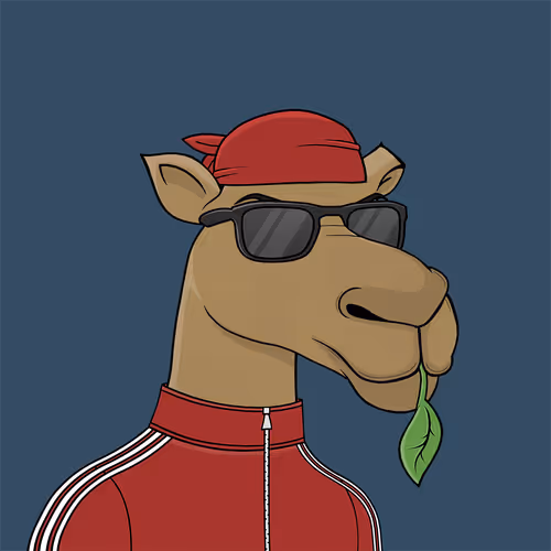 Camelsnftio