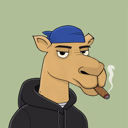 Camelsnftio