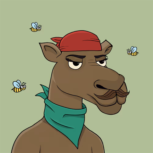 Camelsnftio