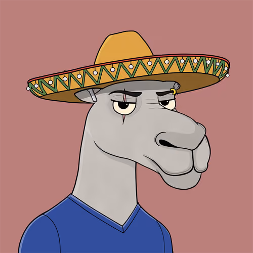 Camel #2013